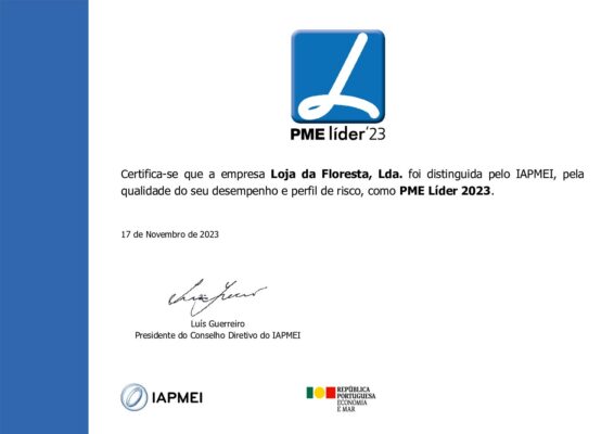 Diploma pdf 566x400 1